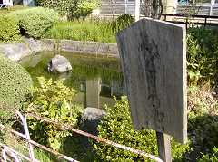 �N���[�������T