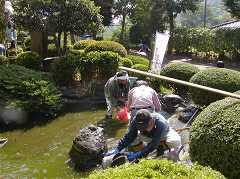 �N���[������