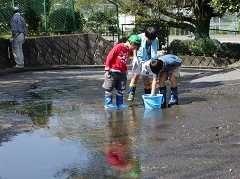 �N���[������