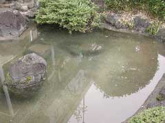 �N���[������