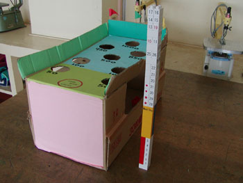 �o��������