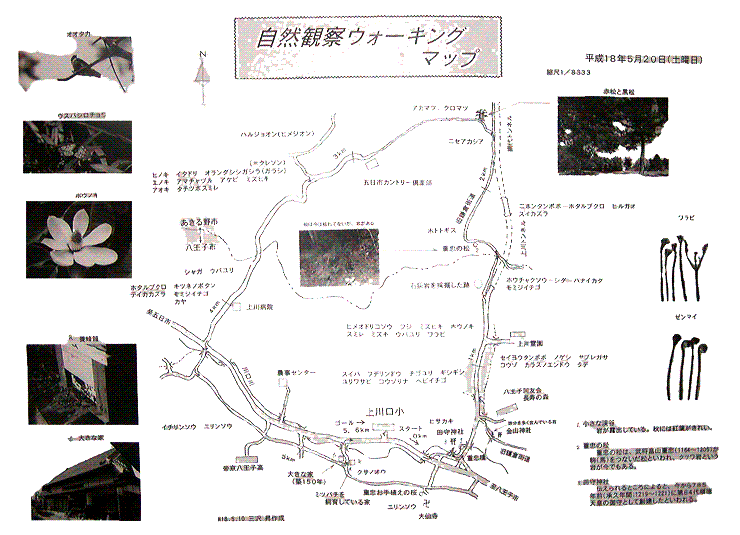 �E�H�[�L���O�}�b�v