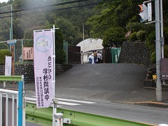 �E�H�[�L���O�P