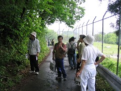 �E�H�[�L���O�P�T