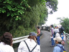 �E�H�[�L���O�P�V