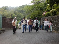 �E�H�[�L���O�S