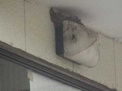 �c�o���̊ώ@�P�U