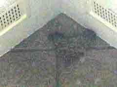 �c�o���̊ώ@�W