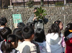 ��Q�O��䂸��t�Q�S