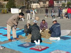 ��Q�O��䂸��t�T