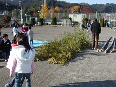 ��Q�O��䂸��t�V