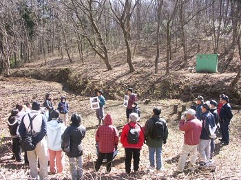 ���R��̌����悤�V