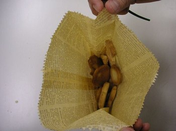 �N�b�L�[���