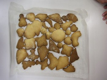 �N�b�L�[���