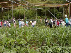 ���̂����P