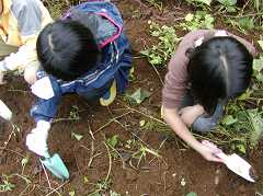 ���܈����n�ՂP�R