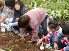 ���܈����n�ՂP�T