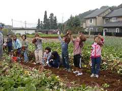 ���܈����n�ՂP�V