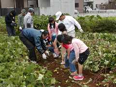 ���܈����n�ՂP�W