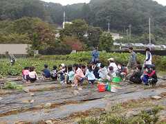 ���܈����n�ՂX