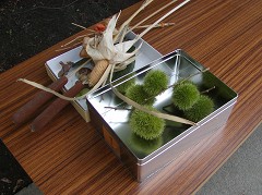 �ԒY�E�|�Y����P