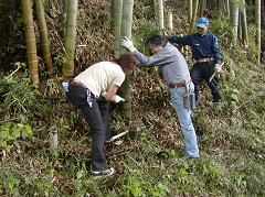 �ԒY�E�|�Y����