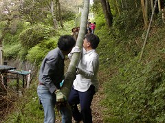 �ԒY�E�|�Y����