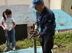 �ԒY�E�|�Y����