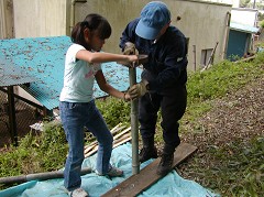 �ԒY�E�|�Y����