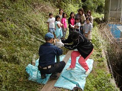 �ԒY�E�|�Y����