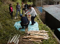 �ԒY�E�|�Y����