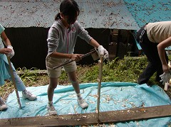 �ԒY�E�|�Y����