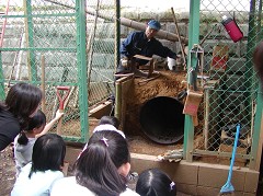 �ԒY�E�|�Y����