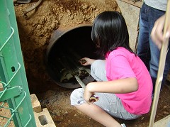 �ԒY�E�|�Y����