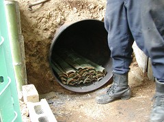 �ԒY�E�|�Y����