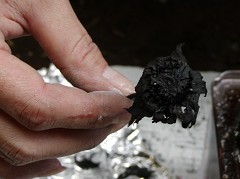 �ԒY�E�|�Y����