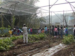 �����ω�E�����Ƃ��P�O