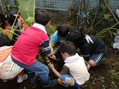 �����ω�E�����Ƃ��P�Q