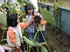 �����ω�E�����Ƃ��P�R