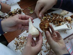 �����ω�E�����Ƃ��Q�P