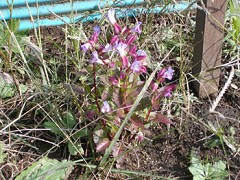 �����ω�E�����Ƃ��Q�Q