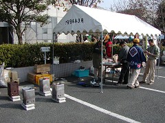 �����ω�E�����Ƃ��V