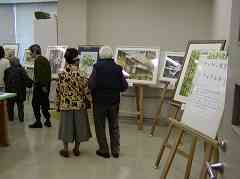 �����W��