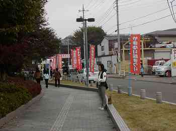 �������Q