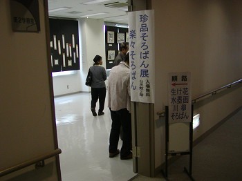 �����W��